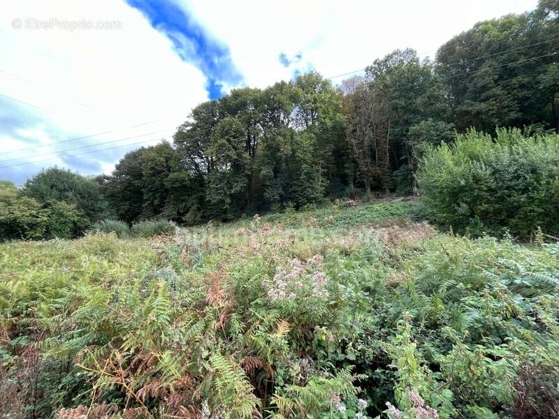 Terrain à FIQUEFLEUR-EQUAINVILLE