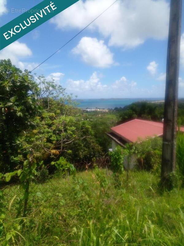 Photo 1 - Terrain à LE ROBERT