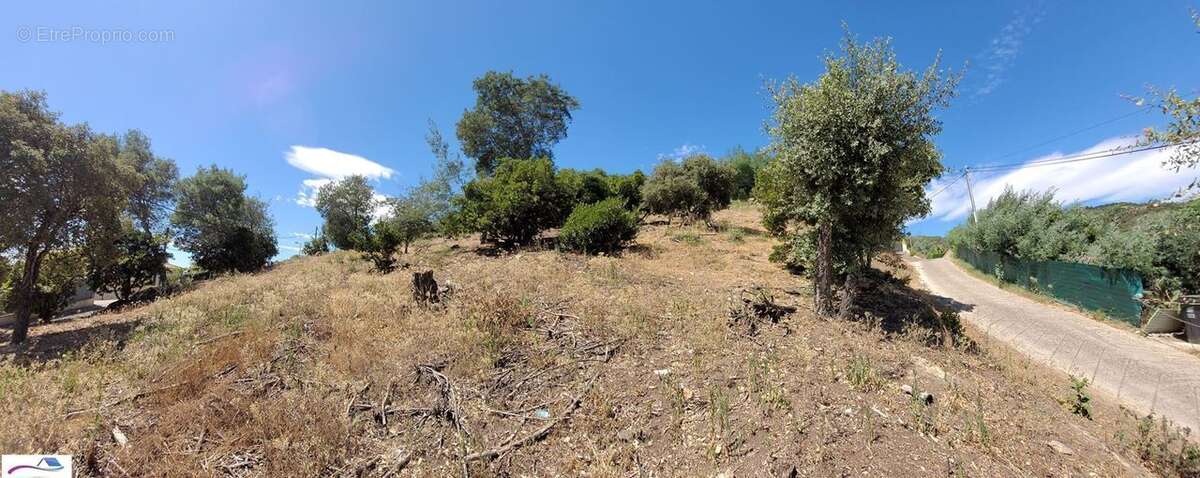 Terrain à MANDELIEU-LA-NAPOULE