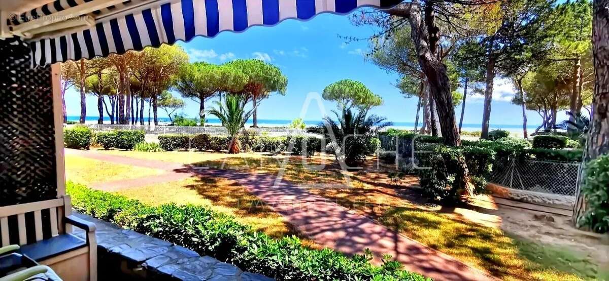 Appartement à ARGELES-SUR-MER