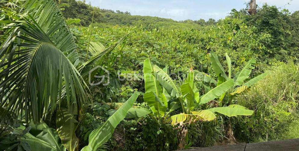 Maison à REMIRE-MONTJOLY