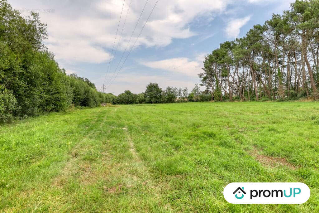 Terrain à SAINT-MARS-LA-BRIERE