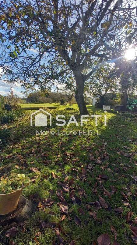 Photo 6 - Maison à SAINT-FLOVIER