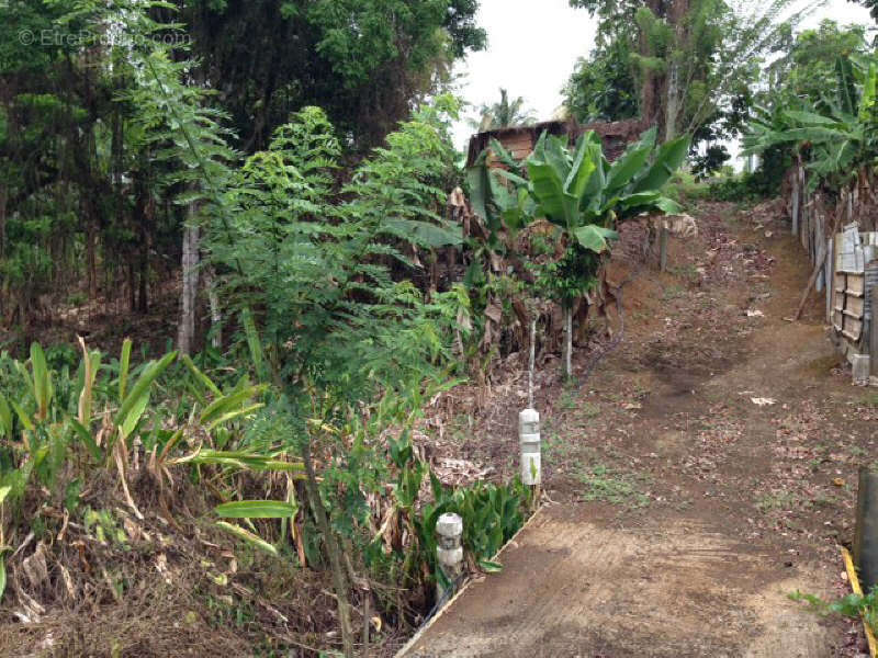 Terrain à SAINT-JOSEPH