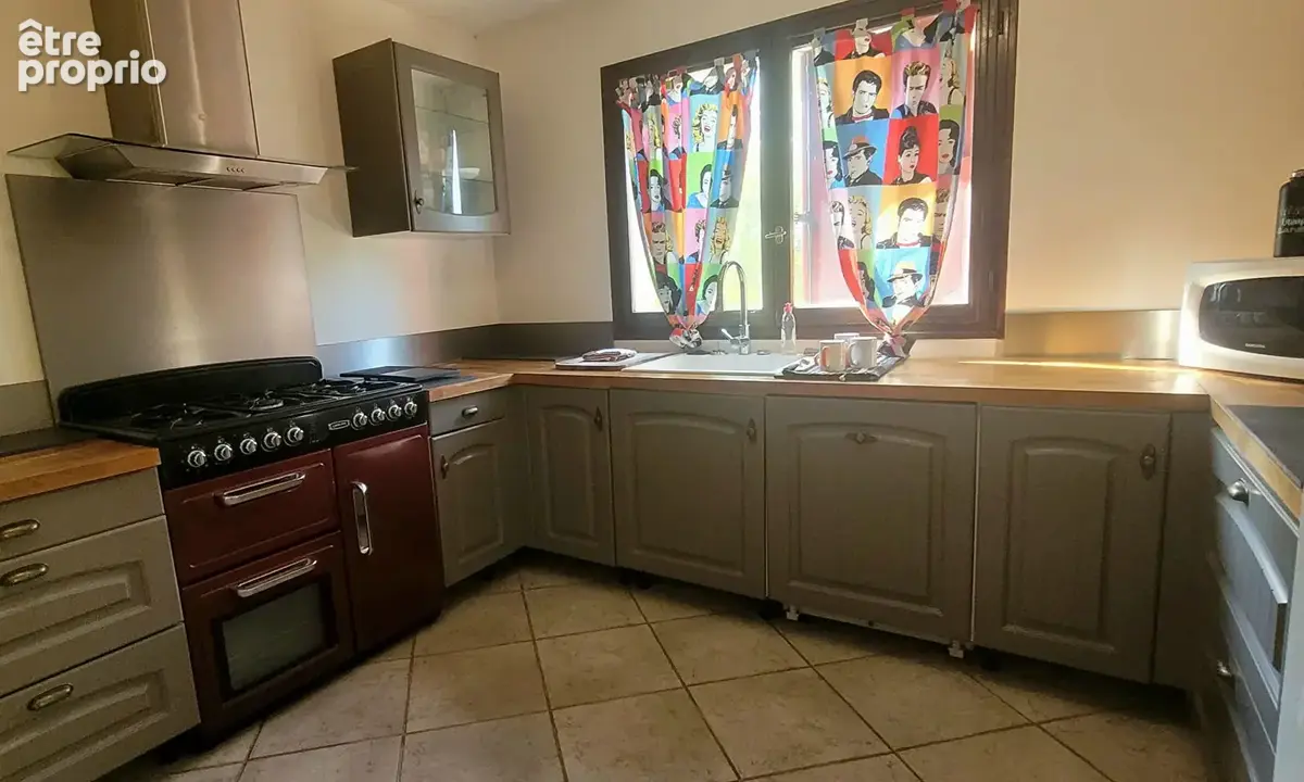 Maison 317m² à la bâtie-montgascon - photo 11