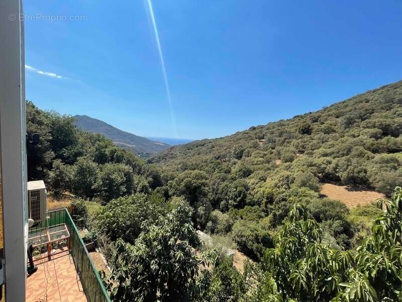 Propriano-Corse du Sud Maison 9 pièces de 170 m2 - photo 4