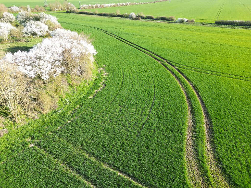 Terrain à VINEUIL