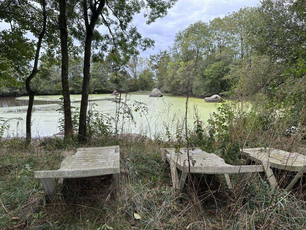 Terrain à CHAILLE-SOUS-LES-ORMEAUX