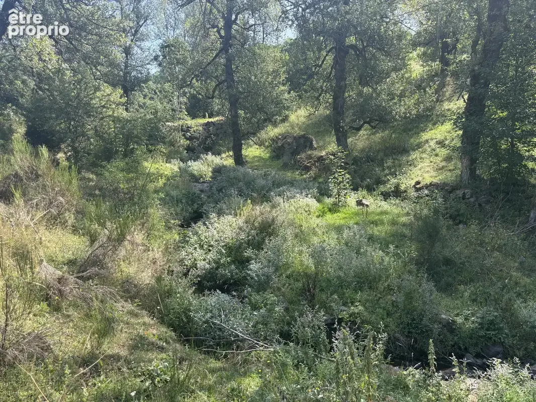 Exclusivité - terrain de 1 716 m² avec deux ruines en pierre - photo 7