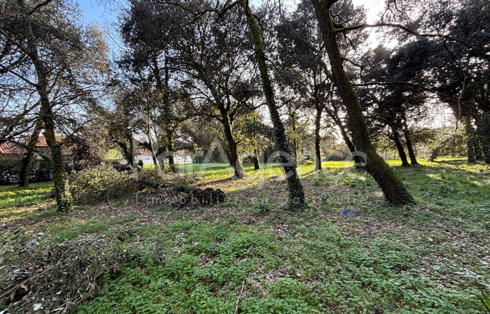 Terrain à MESCHERS-SUR-GIRONDE