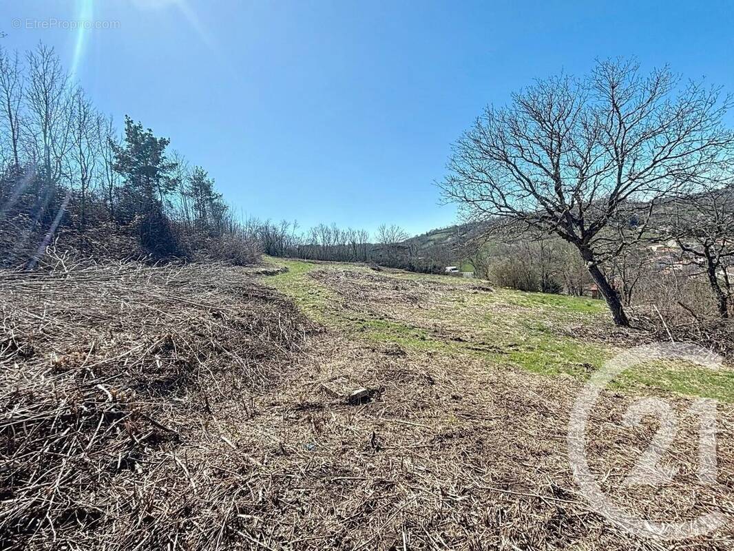 Terrain à ESPALY-SAINT-MARCEL