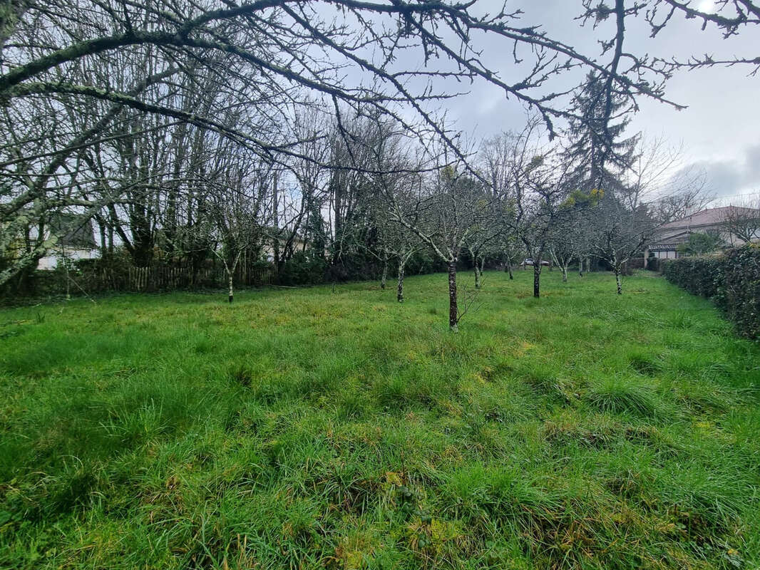 Terrain à SAINT-BENOIT