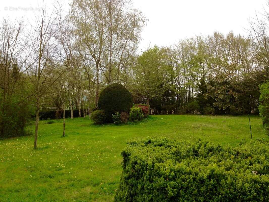 Authentique longère percheronne de caractère – 164 m² habitables – Dépendance de 105 m² – Terrain de 5 000 m² - photo 21