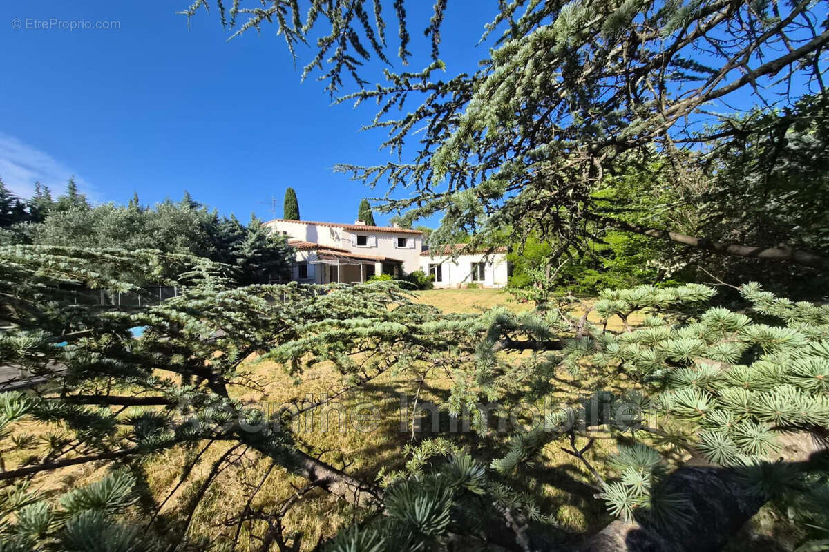 Maison à MONTFERRIER-SUR-LEZ