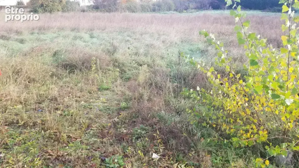 Terrain à LA SAUVE