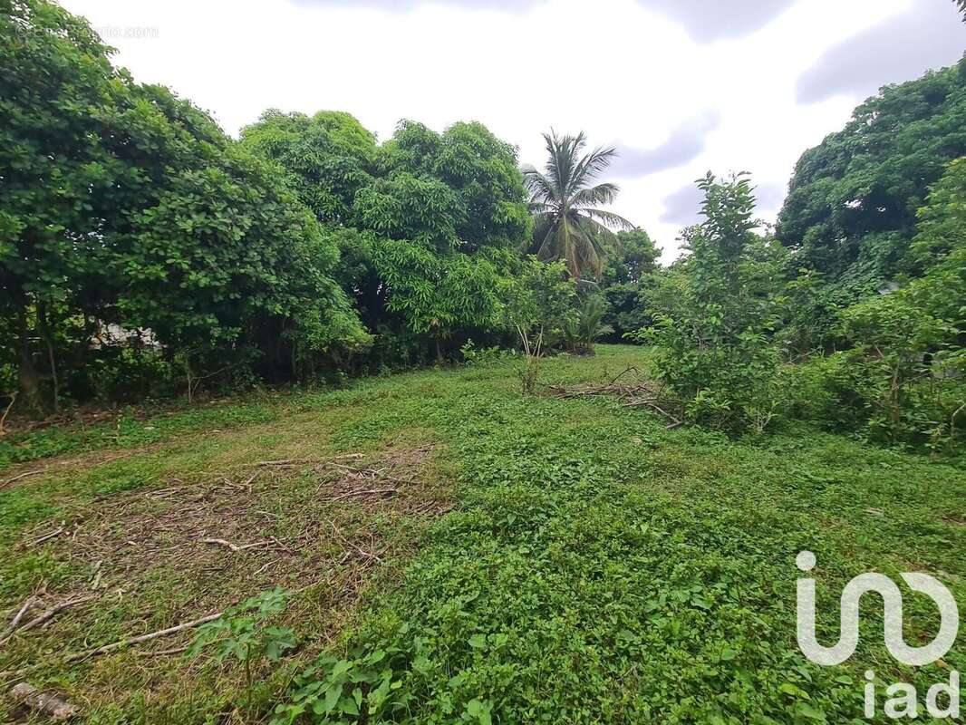 Photo 2 - Terrain à LE MOULE