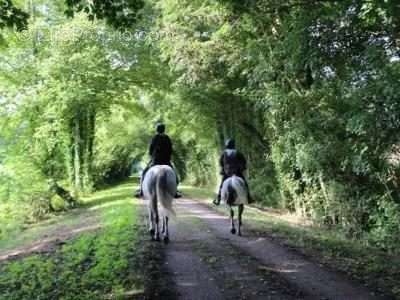 Terrain à SAINT-ANDRE-D&#039;HEBERTOT
