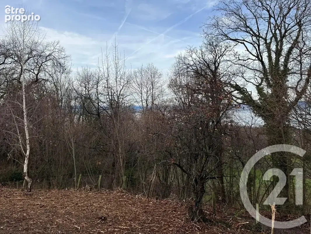Terrain 1 458 m² à vendre à Maxilly-Sur-Leman (74500) - photo 5