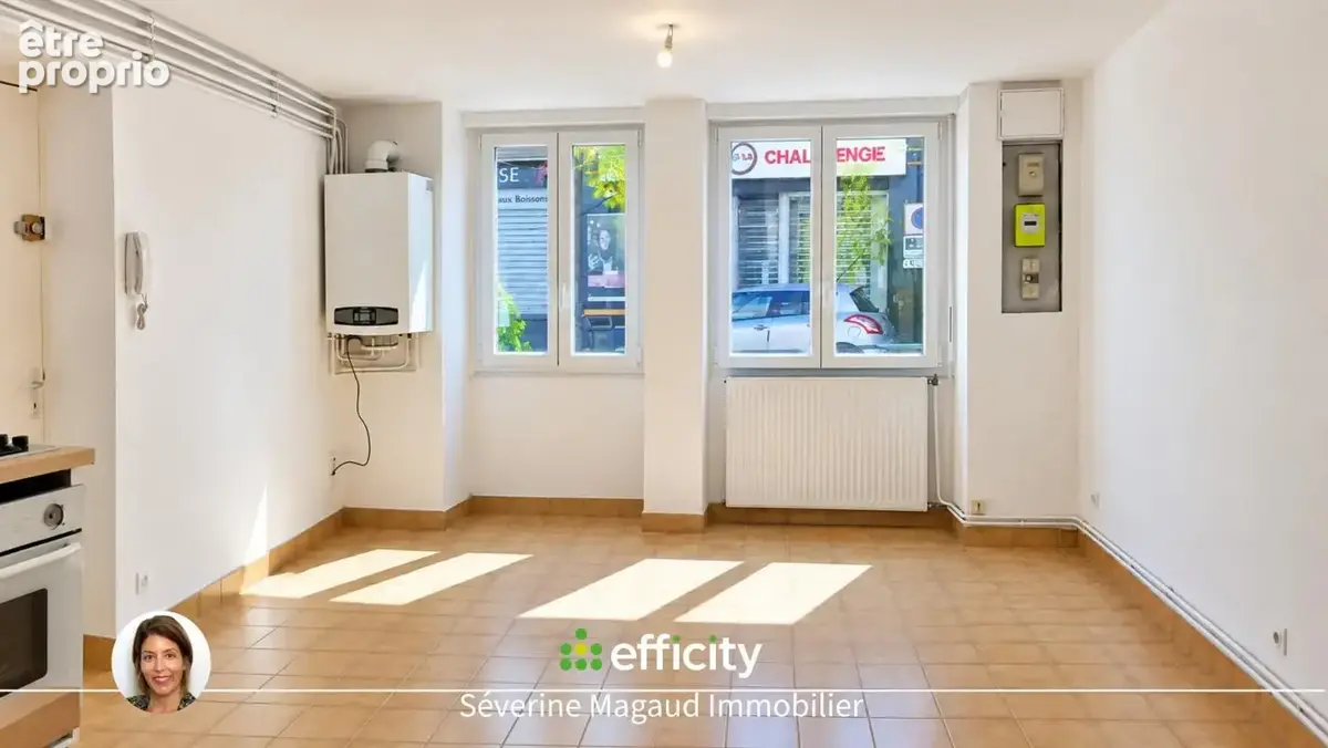 Appartement 21 pièces 457 m² à vendre à Tarare (69170) - photo 2