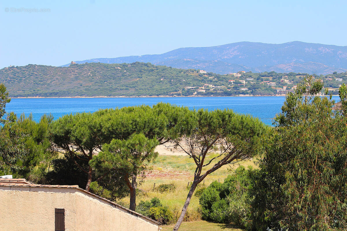 Appartement à CALCATOGGIO