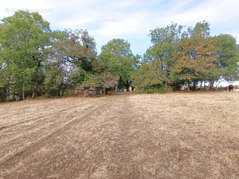 Maison à SAINT-MARTIN-VALMEROUX
