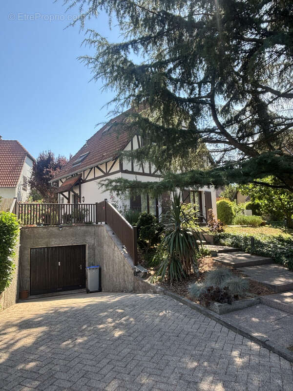 Souffelweyersheim : quartier résidentiel - photo 20