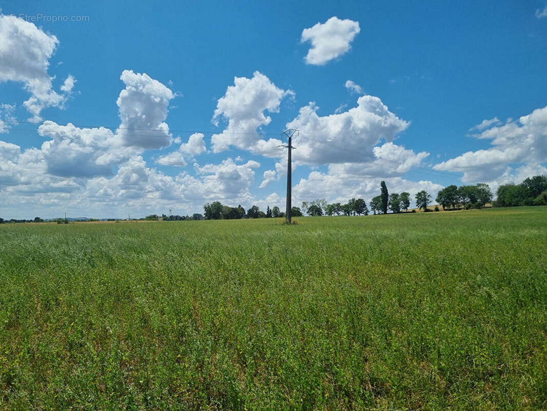 Terrain à SAINT-GERAND-LE-PUY