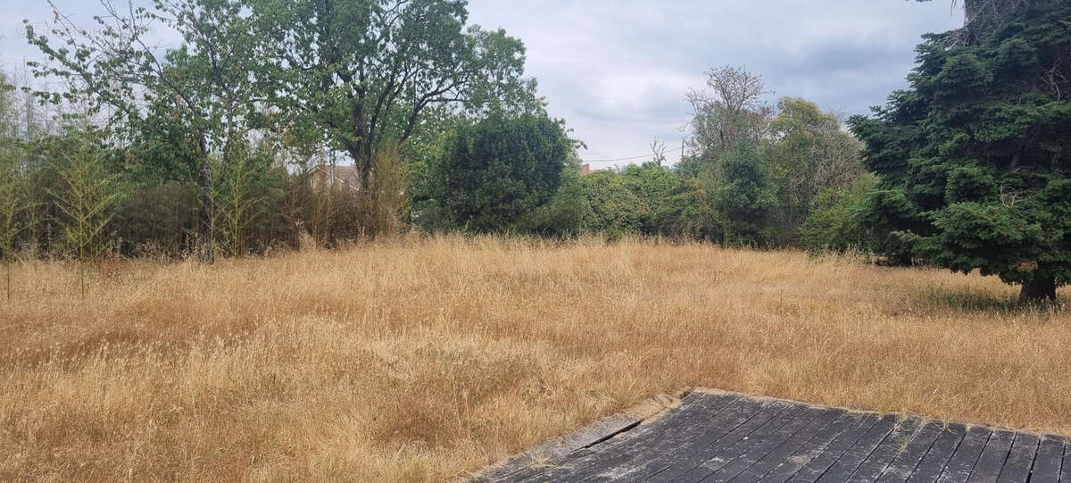 Grand Terrain constructible  - Toulouse Saint Simon - photo 5