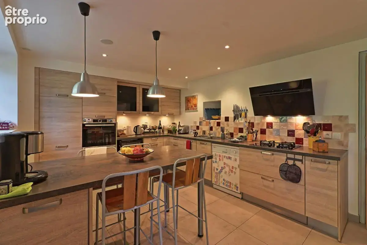 Maison Alby Sur Chéran, 5 chambres, 2 terrasses, garage et jardin - photo 2