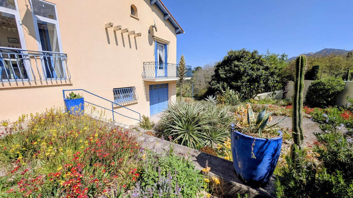 Maison à LAROQUE-DES-ALBERES