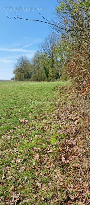 Terrain à LE PLANTIS