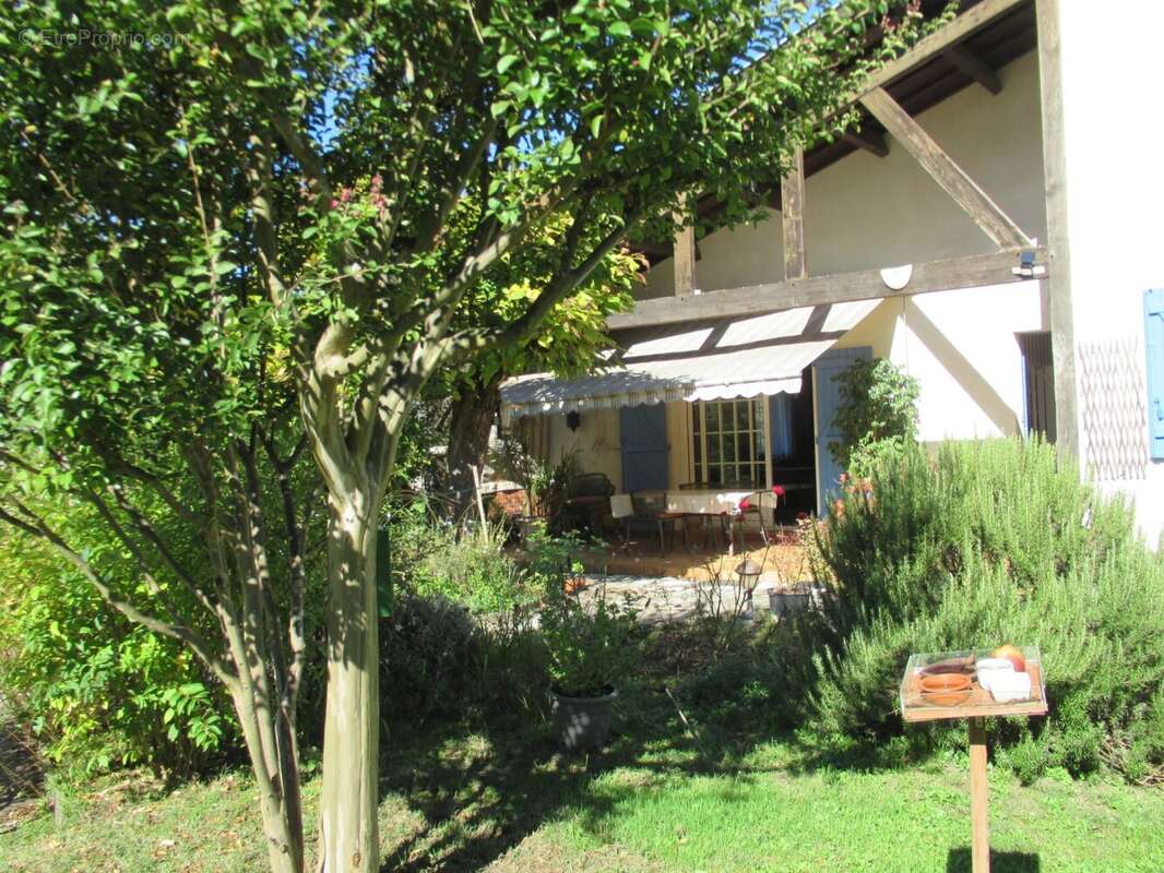 MAISON LANDAISE sur un parc arboré de 6200m2 avec sa piscine - photo 2