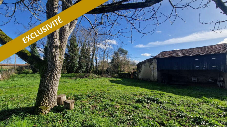 Terrain à SAINT-MACAIRE