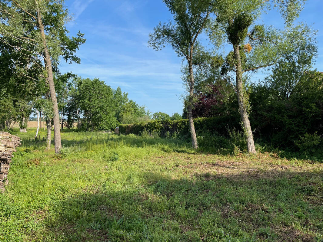 Terrain à LA VENDUE-MIGNOT