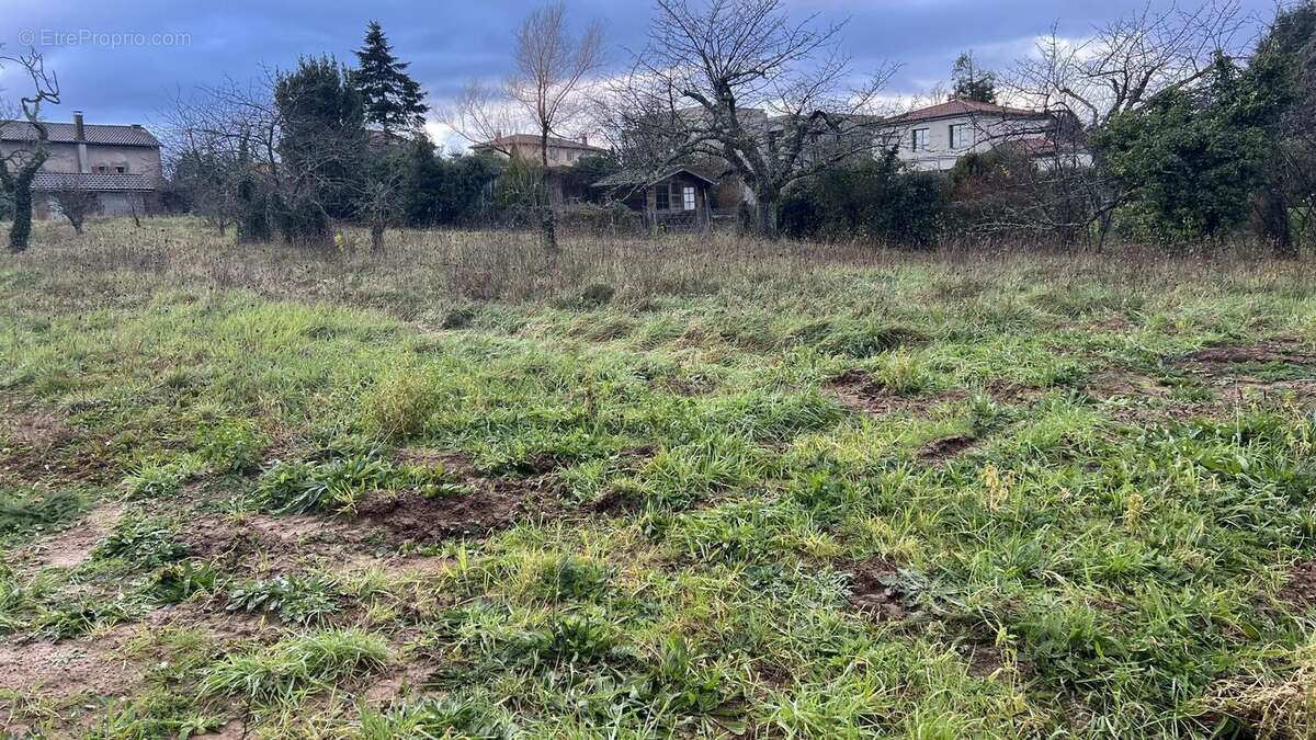 Photo 3 - Terrain à LA TOUR-DE-SALVAGNY