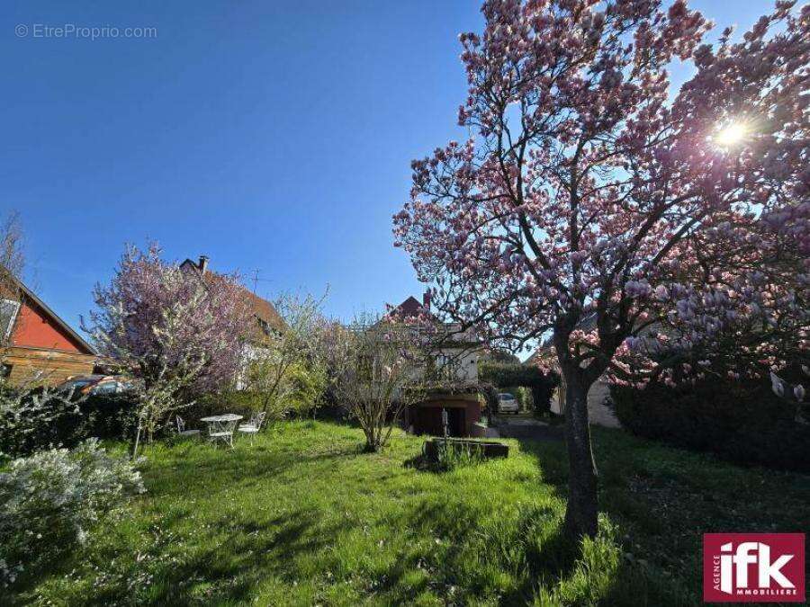 Maison à ANDOLSHEIM