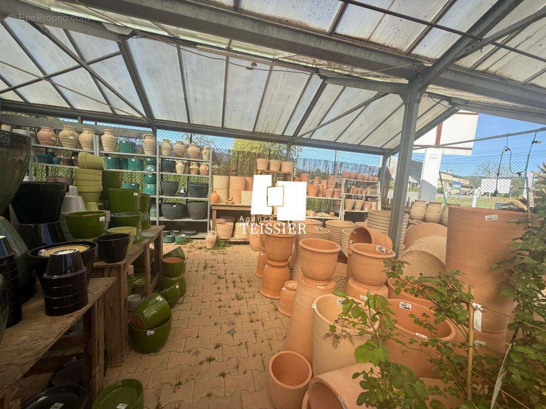 Commerce à LES VANS