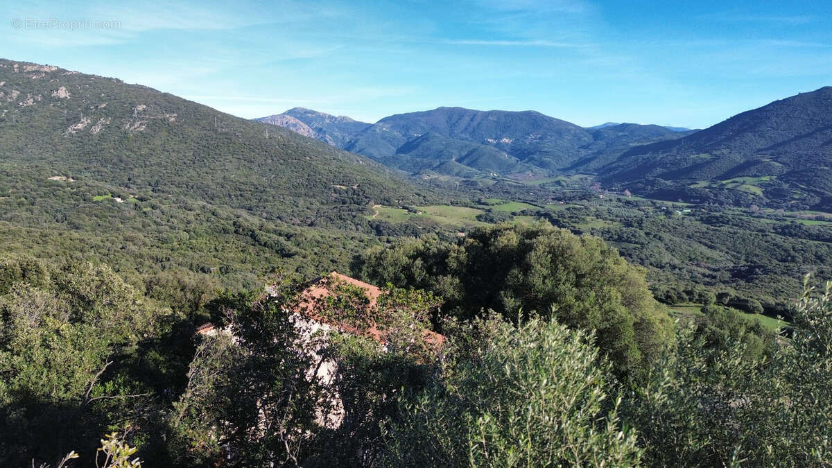 Terrain à OLMETO