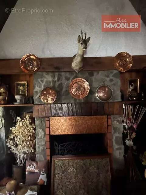 Maison à ROCHE-EN-REGNIER