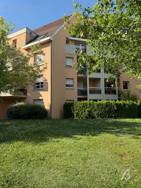 Appartement à OBERNAI