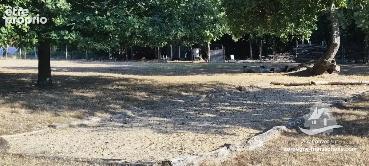 Terrain de pétanque