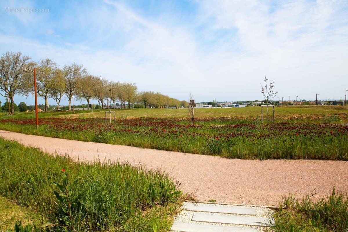 Terrain à DOUVRES-LA-DELIVRANDE