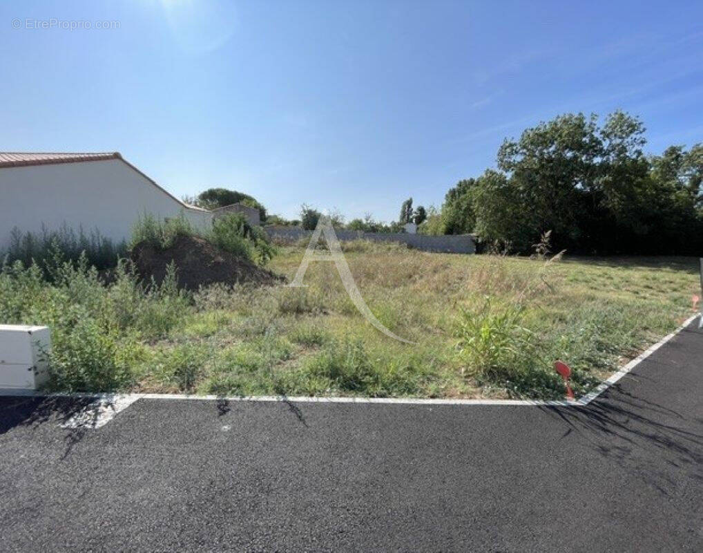 Terrain à SAINT-AGNANT