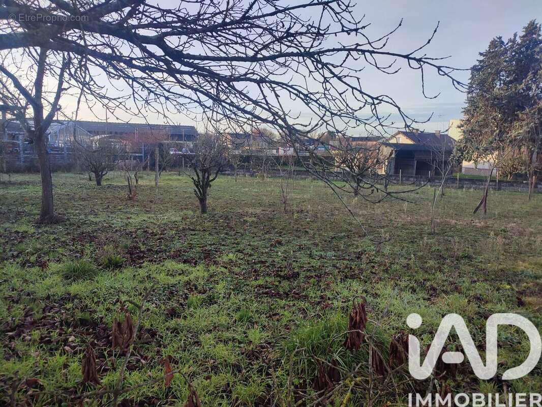 Photo 2 - Terrain à VOUVRAY-SUR-LOIR