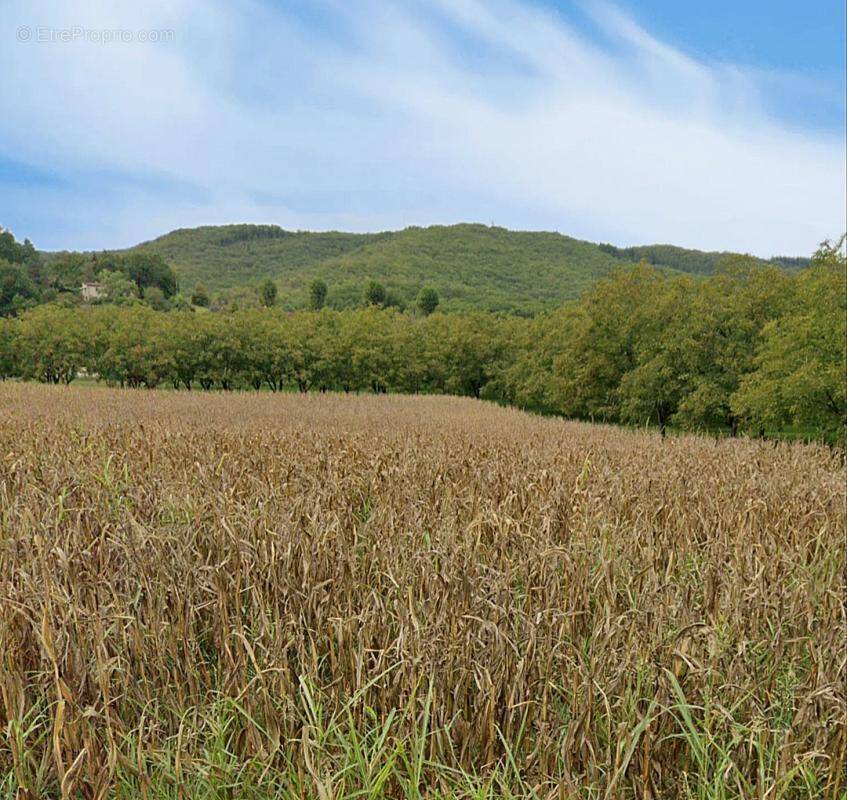 Terrain à LANZAC