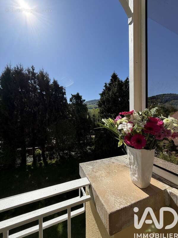 Photo 8 - Appartement à BREITENBACH-HAUT-RHIN