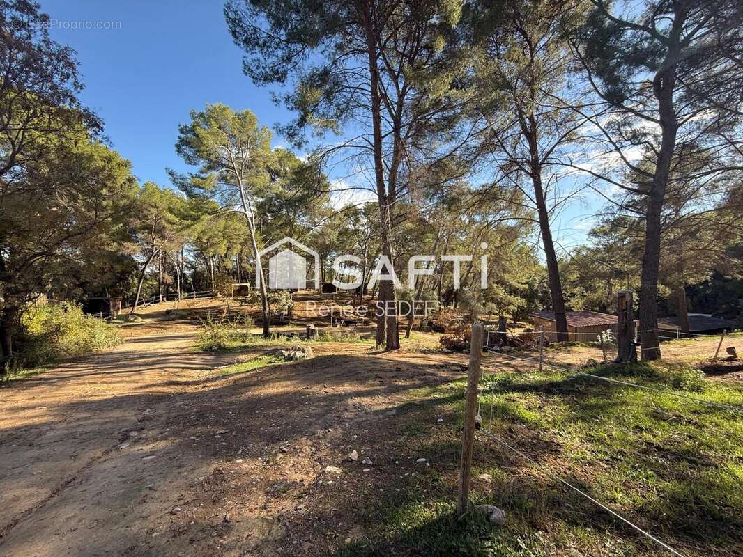 Photo 5 - Commerce à MOUGINS