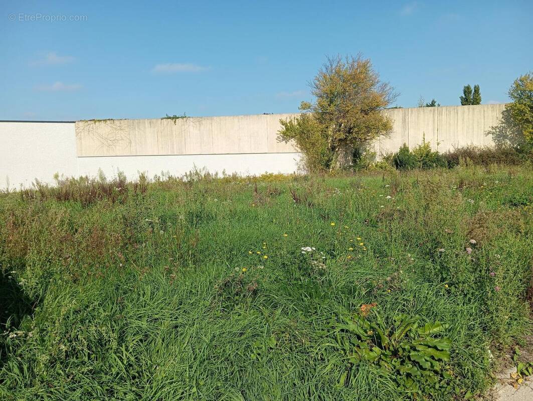 Photo 1 - Terrain à CORBAS