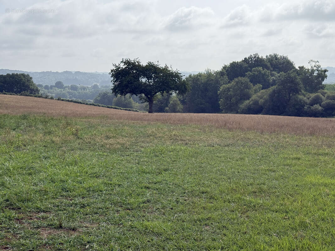 Terrain à SAINT-PARDOUX-L'ORTIGIER
