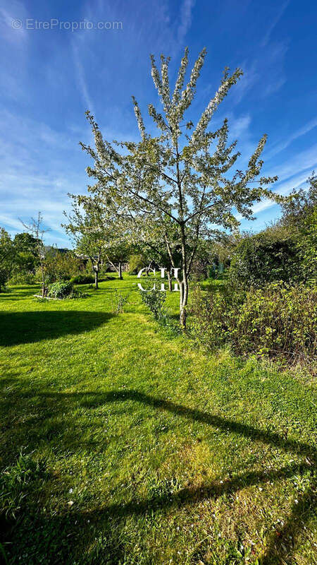 Maison à SAINT-ALBAN